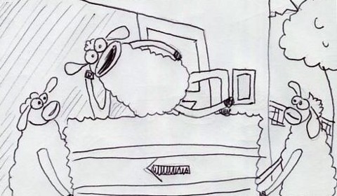 Two sheep carry in a bale of hay. They exit shot into barn.